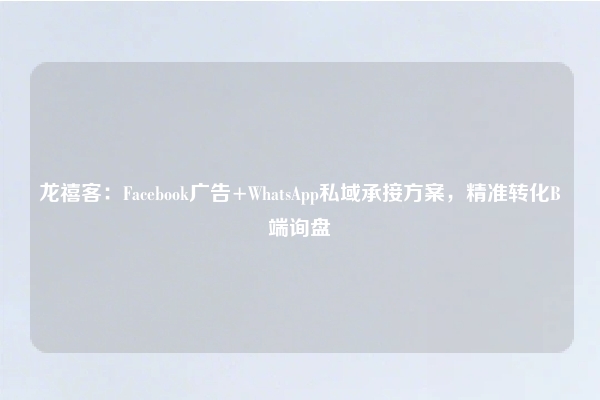 龙禧客：Facebook广告+WhatsApp私域承接方案，精准转化B端询盘