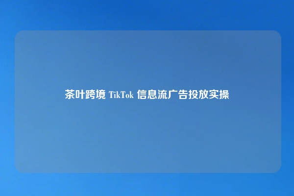 茶叶跨境 TikTok 信息流广告投放实操