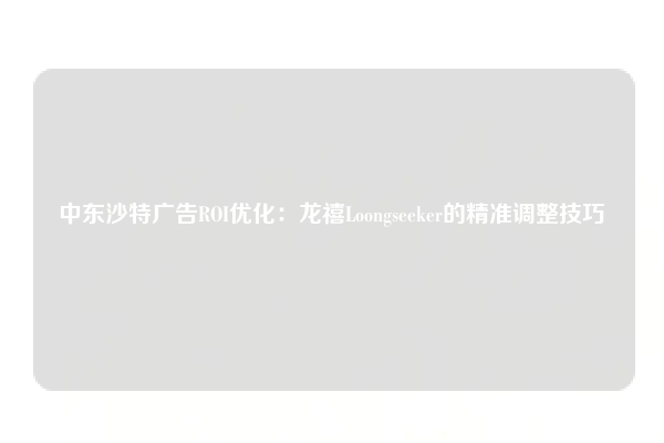 中东沙特广告ROI优化：龙禧Loongseeker的精准调整技巧