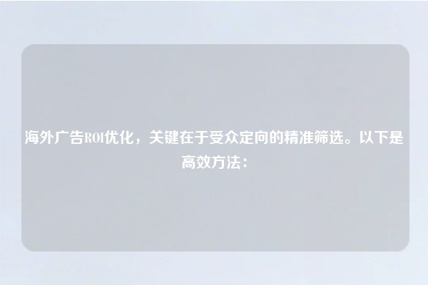 海外广告ROI优化，关键在于受众定向的精准筛选。以下是高效方法：