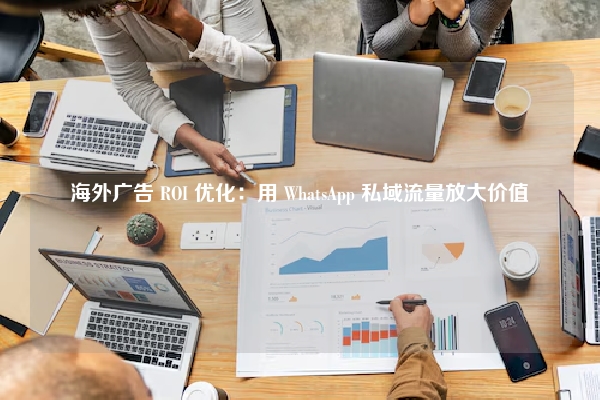 海外广告 ROI 优化：用 WhatsApp 私域流量放大价值