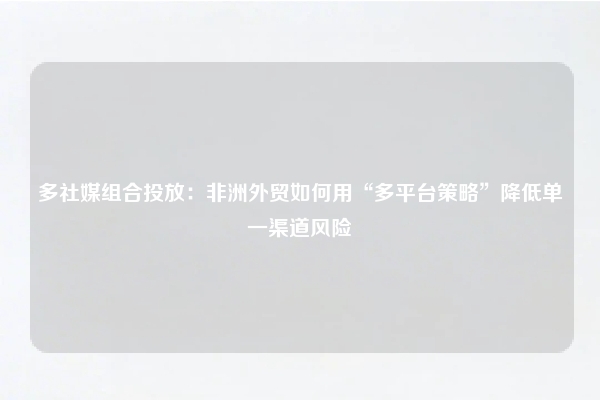多社媒组合投放：非洲外贸如何用“多平台策略”降低单一渠道风险