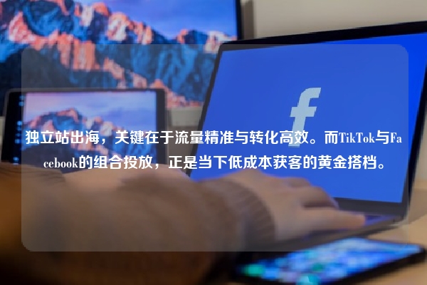 独立站出海，关键在于流量精准与转化高效。而TikTok与Facebook的组合投放，正是当下低成本获客的黄金搭档。