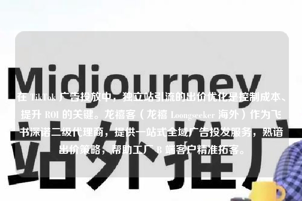 在 TikTok 广告投放中，独立站引流的出价优化是控制成本、提升 ROI 的关键。龙禧客（龙禧 Loongseeker 海外）作为飞书深诺二级代理商，提供一站式全域广告投发服务，熟谙出价策略，帮助工厂 B 端客户精准拓客。