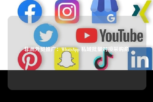 非洲外贸推广：WhatsApp 私域批量对接采购商