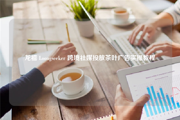 龙禧 Loongseeker 跨境社媒投放茶叶广告实操教程
