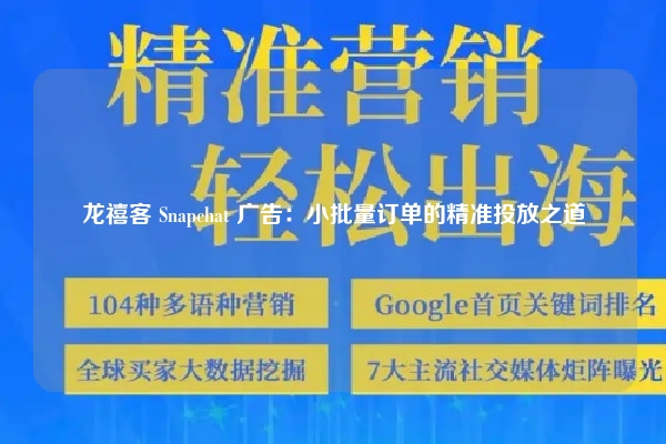 龙禧客 Snapchat 广告：小批量订单的精准投放之道