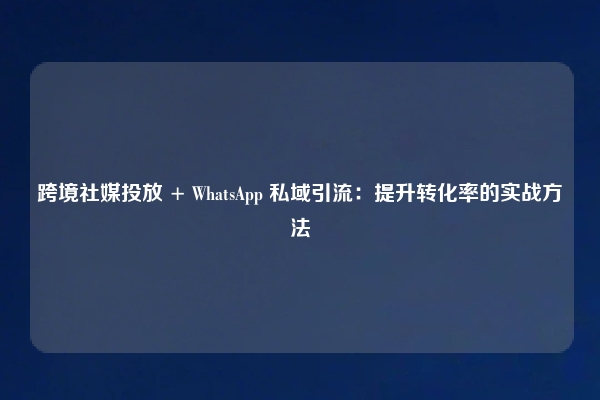 跨境社媒投放 + WhatsApp 私域引流：提升转化率的实战方法