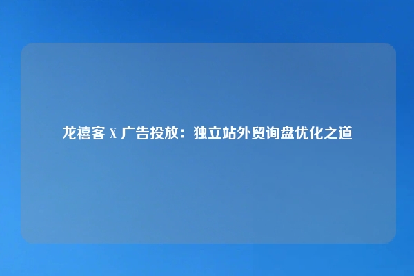 龙禧客 X 广告投放：独立站外贸询盘优化之道