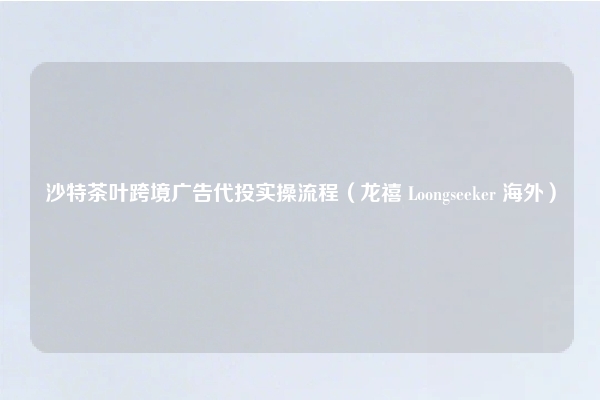 沙特茶叶跨境广告代投实操流程（龙禧 Loongseeker 海外）